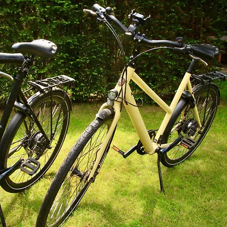 Apartman In Berlin-koepenick Berlin